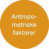 Antropo­metriske faktorer