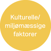 Kulturelle/ milj m ssige faktorer