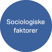 Sociologiske faktorer